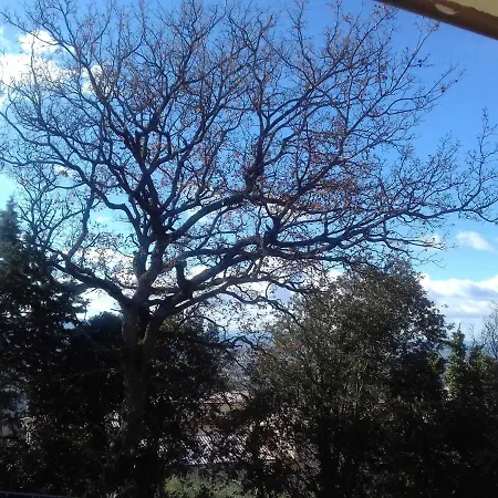 Bed & Breakfast La Provvidenza 3*